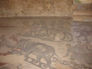IMG_1149